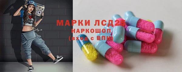 спайс Каменка