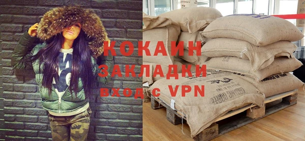 спайс Каменка