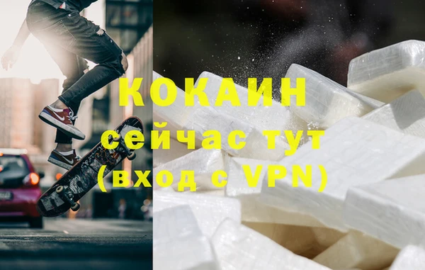 спайс Каменка