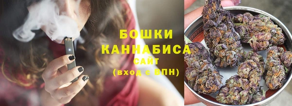 спайс Каменка