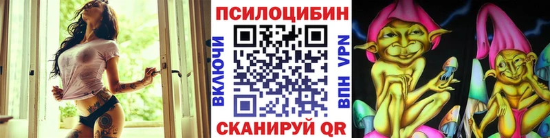 где найти   Первоуральск  Галлюциногенные грибы GOLDEN TEACHER 